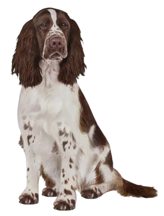 SPRINGER SPANIEL Dog Vinyl Sticker By E&S Pets