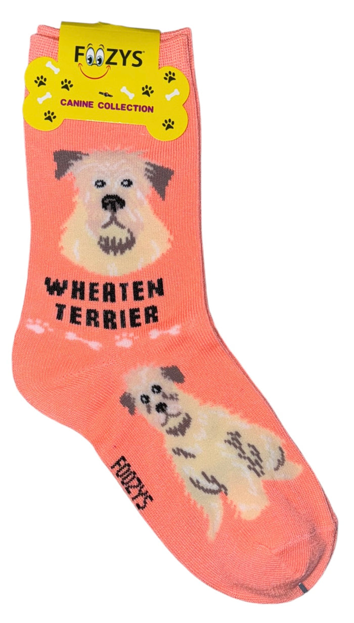 FOOZYS Brand Ladies WHEATEN TERRIER Dog Socks