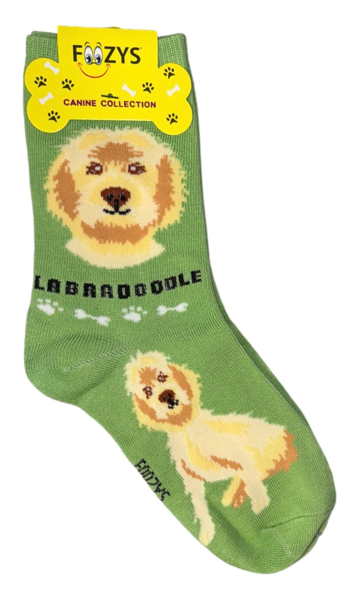 FOOZYS Brand Ladies LABRADOODLE Dog Socks