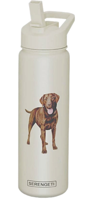 CHOCOLATE LABRADOR Dog Stainless Steel 24 Oz. Water Bottle SERENGETI Brand By E&S Pets - Novelty Socks for Less