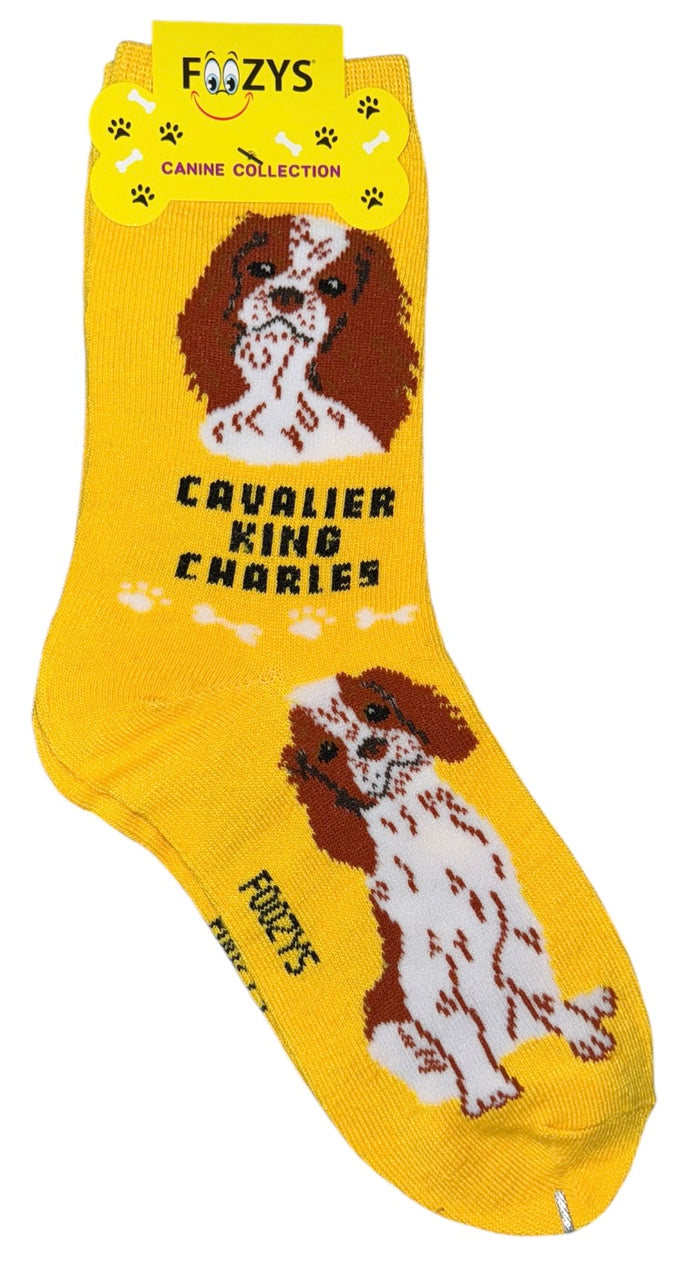 FOOZYS Brand Ladies CAVALIER KING CHARLES Dog Socks