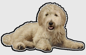 GOLDENDOODLE Dog Vinyl Sticker By E&S Pets