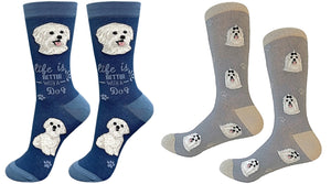 MALTESE Dog Unisex Socks By E&S Pets CHOOSE SOCK DADDY, LIFE IS BETTER - Novelty Socks for Less