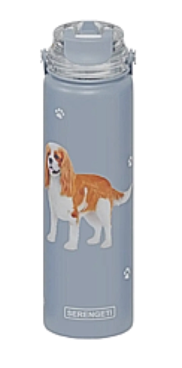 CAVALIER KING CHARLES Dog Stainless Steel 24 Oz. Water Bottle SERENGETI Brand By E&S Pets