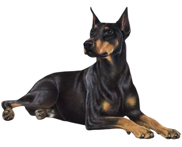 DOBERMAN Dog Vinyl Sticker By E&S Pets