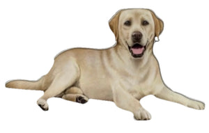 YELLLOW LABRADOR Dog Vinyl Sticker By E&S Pets - Novelty Socks And Slippers