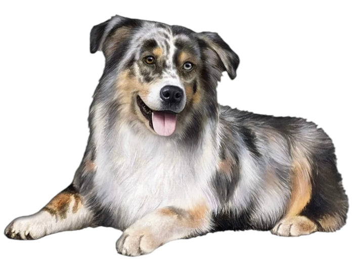 AUSTRALIAN SHEPHERD Vinyl Sticker By E&S Pets