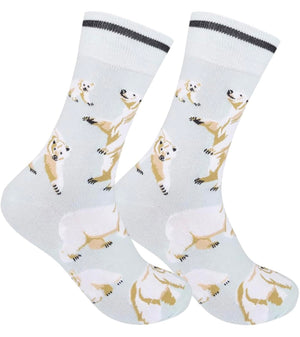 POLAR BEAR Adult Unisex Socks FUNATIC Brand POLAR BEARS All Over - Novelty Socks And Slippers
