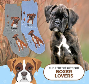 FOOZYS Ladies 2 Pair BOXER DOG Socks - Novelty Socks for Less