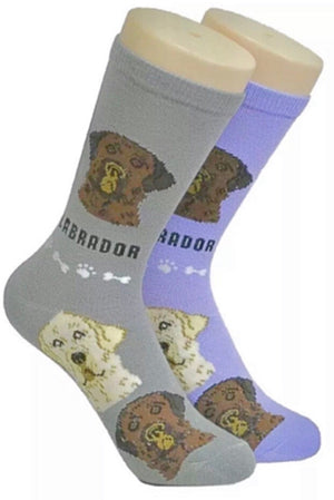 FOOZYS Ladies 2 Pair LABRADOR Dog Socks - Novelty Socks for Less