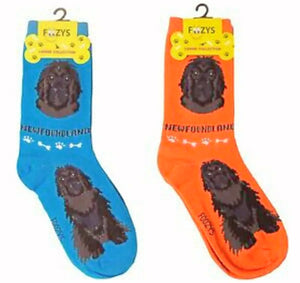 FOOZYS Brand Ladies NEWFOUNDLAND Dog 2 Pair Of Socks - Novelty Socks for Less