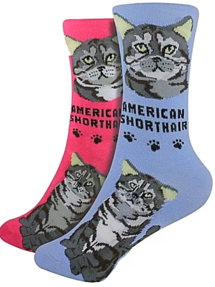 FOOZYS Ladies 2 Pair Of AMERICAN SHORTHAIR Cat Socks