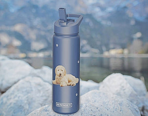 GOLDENDOODLE Stainless Steel 24 Oz. Water Bottle SERENGETI Brand By E&S Pets - Novelty Socks for Less
