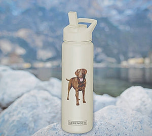 CHOCOLATE LABRADOR Dog Stainless Steel 24 Oz. Water Bottle SERENGETI Brand By E&S Pets - Novelty Socks for Less