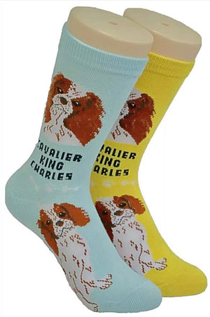FOOZYS Ladies 2 Pair CAVALIER KING CHARLES Dog - Novelty Socks for Less