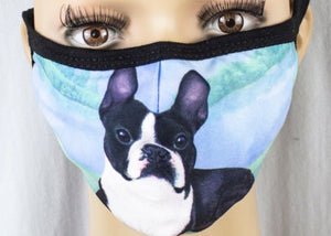 E&S Pets Brand BOSTON TERRIER Adult Face Mask Cover - Novelty Socks for Less