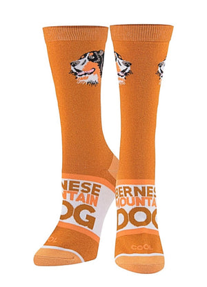 BERNESE MOUNTAIN Dog Ladies Socks COOL SOCKS Brand - Novelty Socks for Less