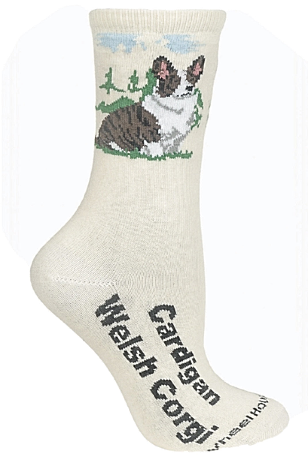 Corgi dog socks hotsell