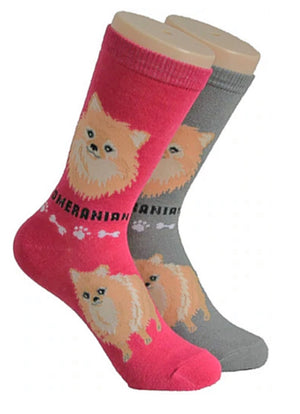 FOOZYS BRAND Ladies POMERANIAN 2 Pair Of Socks - Novelty Socks for Less