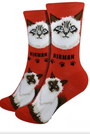 FOOZYS Ladies 2 Pair BIRMAN CAT BREED Socks - Novelty Socks for Less