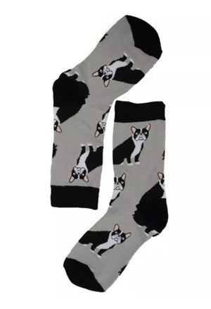 PARQUET Ladies BULLDOGS Socks - Novelty Socks for Less