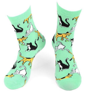 PARQUET BRAND Ladies PLAYFUL CATS Socks - Novelty Socks for Less