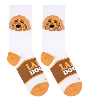 LABRADOODLE Dog Ladies Socks COOL SOCKS Brand - Novelty Socks for Less