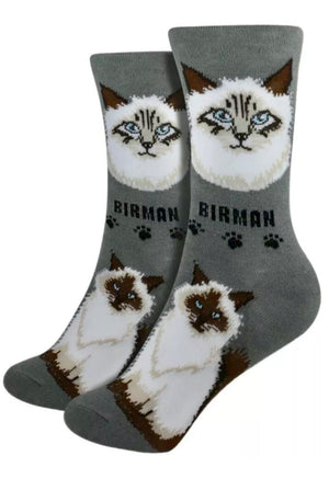 FOOZYS Brand Ladies BIRMAN CAT BREED Socks - Novelty Socks for Less