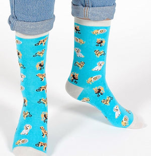 HEADLINE BRAND UNISEX HANDICAP DOGS SOCKS DOGS WITH CONES & WHEELCHAIRS SIZE S/M - Novelty Socks for Less