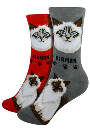 FOOZYS Brand Ladies BIRMAN CAT BREED Socks - Novelty Socks for Less