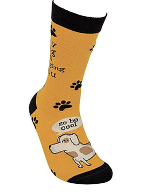 PRIMITIVES BY KATHY Unisex DOG Socks ‘MY DOG IS JUDGING YOU SO BE COOL’ - Novelty Socks for Less