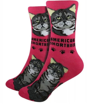 FOOZYS Brand Ladies AMERICAN SHORTHAIR Cat - Novelty Socks for Less