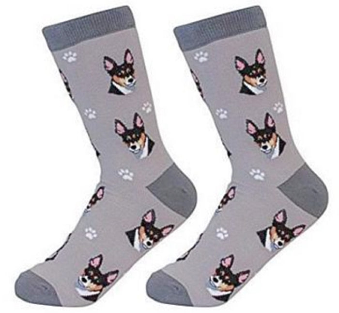 SOCK DADDY Brand RAT TERRIER Dog Unisex By E&S Pets