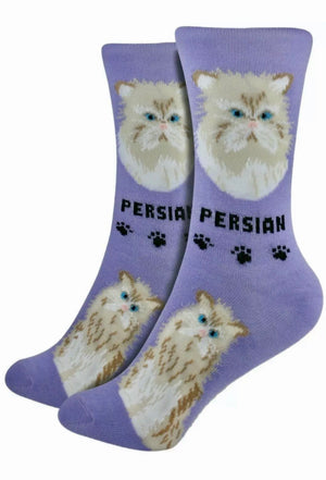 FOOZYS BRAND Ladies PERSIAN CAT - Novelty Socks for Less