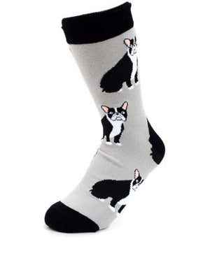 PARQUET Brand Ladies BULLDOGS Socks - Novelty Socks for Less