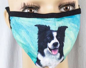 E&S Pets Brand BORDER COLLIE Dog Adult Face Mask Cover - Novelty Socks for Less