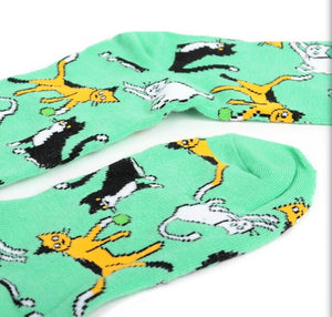 PARQUET BRAND Ladies PLAYFUL CATS Socks - Novelty Socks for Less