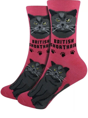 FOOZYS Ladies 2 Pair BRITISH SHORTHAIR Cat - Novelty Socks for Less