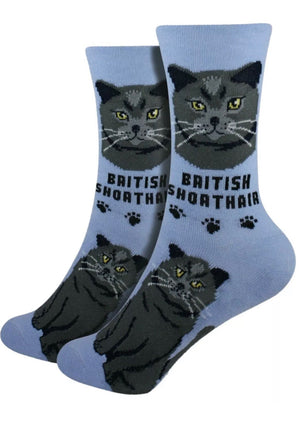 FOOZYS Brand Ladies BRITISH SHORTHAIR Cat - Novelty Socks for Less