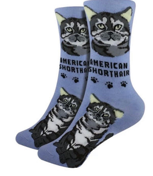 FOOZYS Ladies 2 Pair AMERICAN SHORTHAIR Cat - Novelty Socks for Less